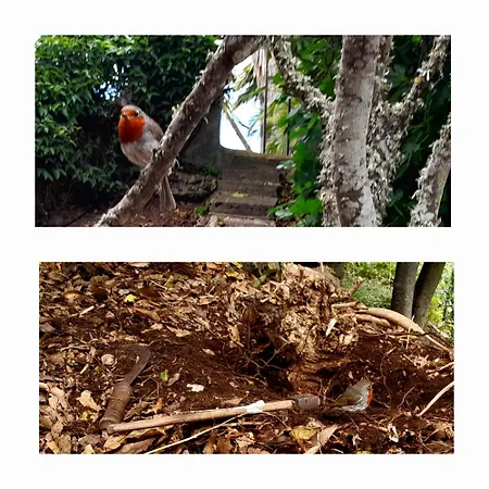 La Casita Del Lagar *