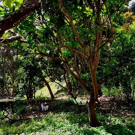 La Casita Del Lagar Casa de Férias