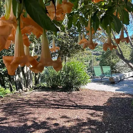 La Casita Del Lagar