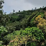 La Casita Del Lagar
