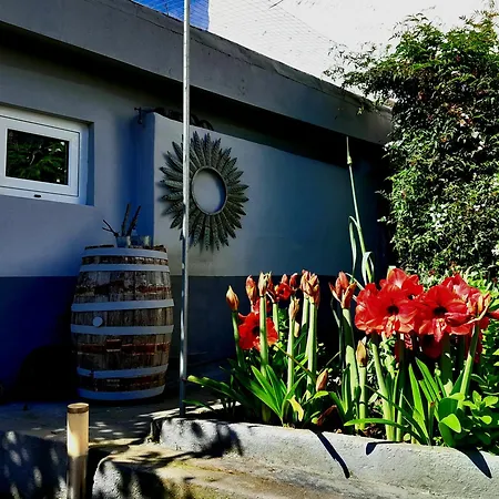 La Casita Del Lagar *