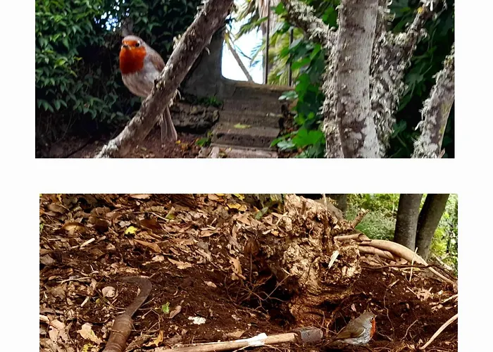 La Casita Del Lagar *